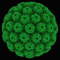 OSF 000OXL374 01
&copy; OSF/LAGUNA DESIGN